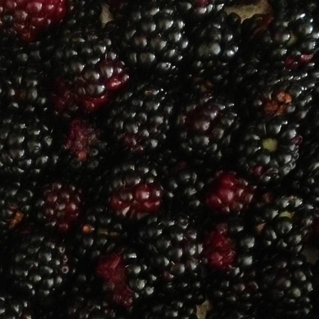 Verdant Treasure: Pure Earth Berry Collection